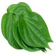Paan Leaves